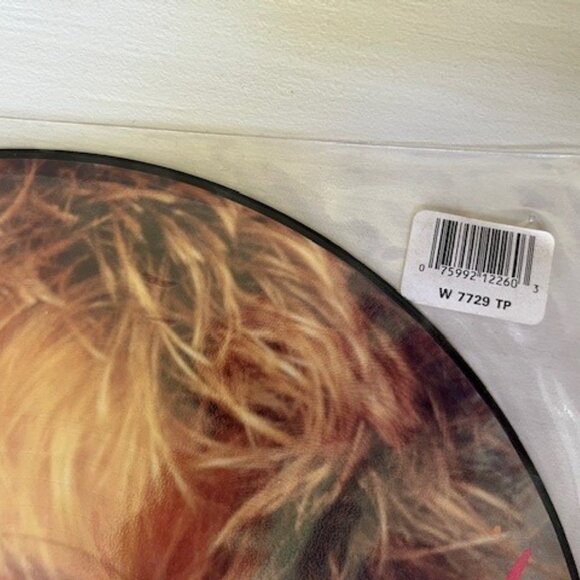 ROD STEWART PICTURE DISC Vinal Album Record, Collectible Music, British Rock 12" - Picture 4 of 4